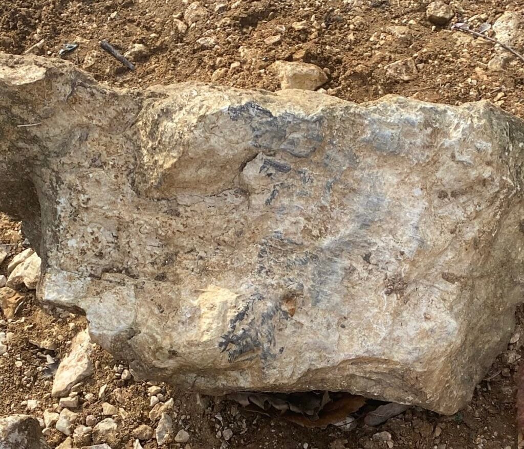 Elif Kumal aracına ait kayalardaki fren izleri